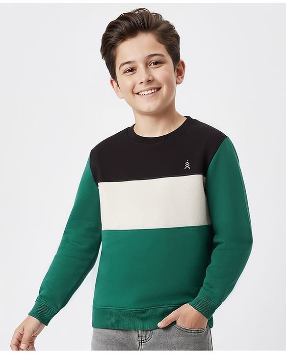 Pine Kids Cotton Knit Full Sleeves Solid Color Pullover Cut & Sew Sweatshirt - Mint