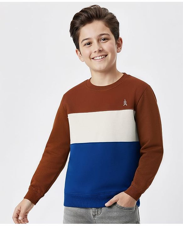Pine Kids Cotton Knit Full Sleeves Solid Color Pullover Cut & Sew Sweatshirt - Blue & Brown