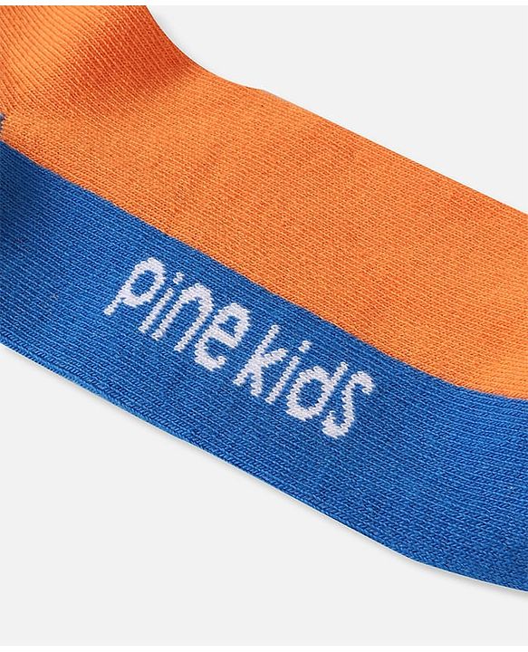 Pine Kids Knit Ankle Length Silvadur Antimicrobial Socks with Design Pack of 5 - Multicolor