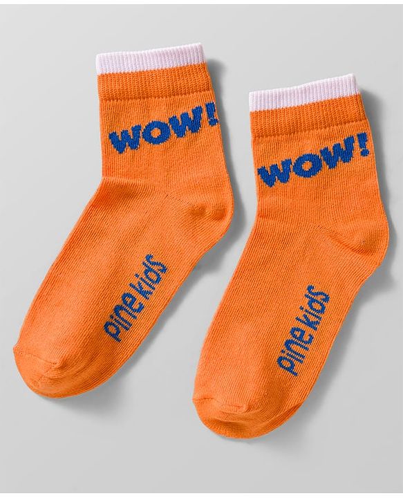Pine Kids Cotton Knit Ankle Length Socks With Text Design Pack Of 5 ( Colour May Vary )
