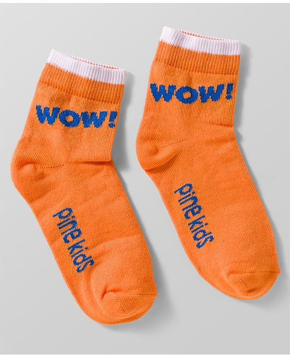 Pine Kids Cotton Knit Ankle Length Socks With Text Design Pack Of 5 ( Colour May Vary )