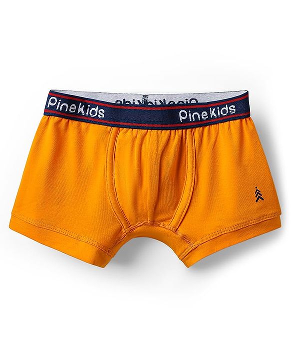 Pine Kids Cotton Elastane Knit Solid Trunk Pack of 3 Color May Vary