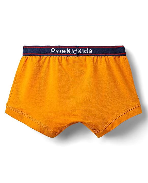 Pine Kids Cotton Elastane Knit Solid Trunk Pack of 3 Color May Vary