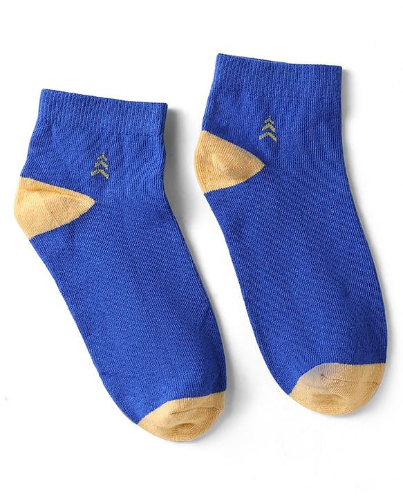 Pine Kids Knit Ankle Length Silvadur Antimicrobial Socks with Color Block Design Pack of 3 - Color May Vary