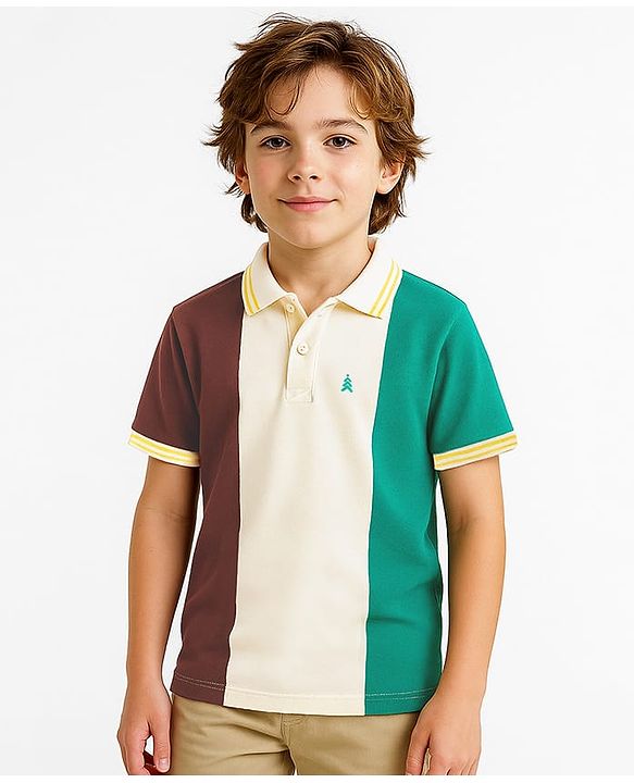 Pine Kids Cotton Knit Half Sleeves Polo T-Shirt With Color Block Design - Multicolor