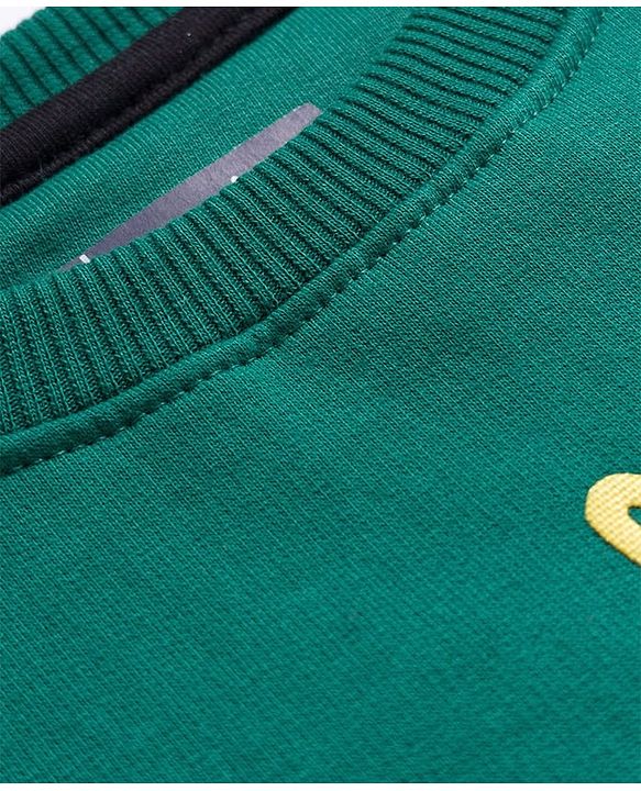 Pine Kids Knit Full Sleeves Sweatshirt With Basketball Print - Mint Green