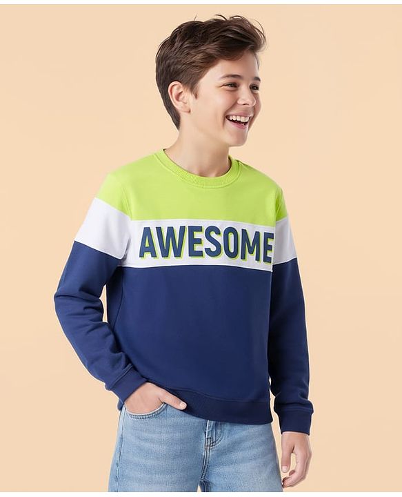 Pine Kids Cotton Knit Full Sleeves Sweatshirt With Awesome Print & Cut & Sew Design - Multicolor