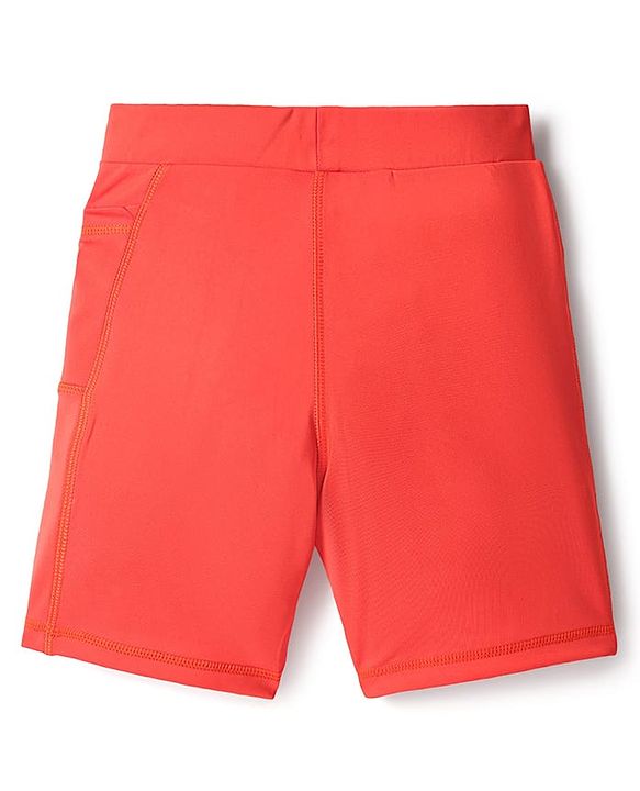 Pine Active Premium Knit Ultra Comfort Super Stretch Aero Soft Solid Cycling Shorts - Navy Blue