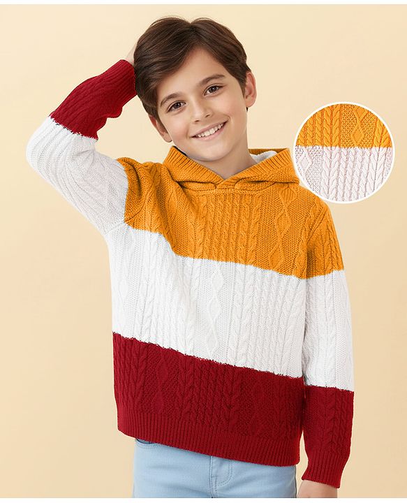Pine Kids Knit Full Sleeves Hooded Sweater With Cable Knit Design - Multicolour