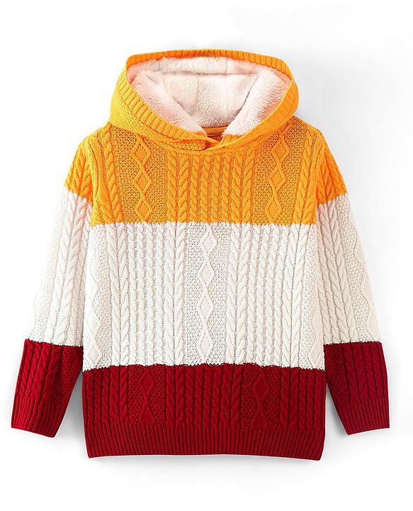 Pine Kids Knit Full Sleeves Hooded Sweater With Cable Knit Design - Multicolour
