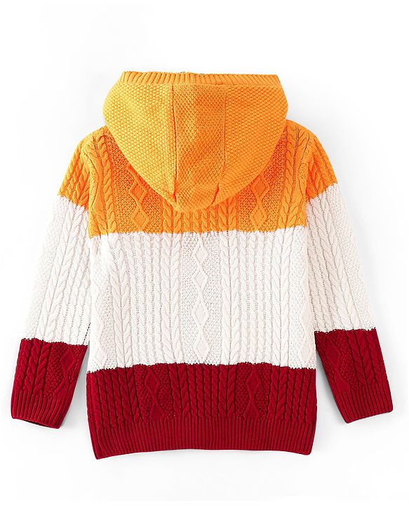 Pine Kids Knit Full Sleeves Hooded Sweater With Cable Knit Design - Multicolour