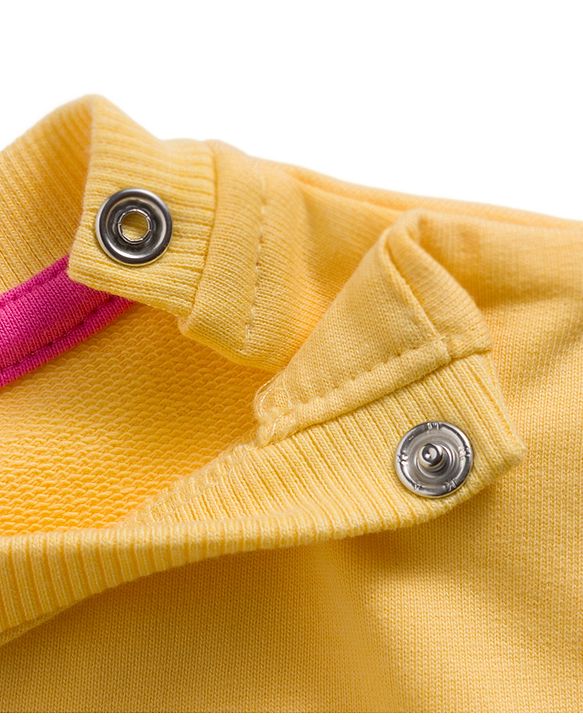 Babyhug Cotton Knit Full Sleeves Sweatshirts with Floral & Fruit Print Pack of 2 - Yellow & Pink