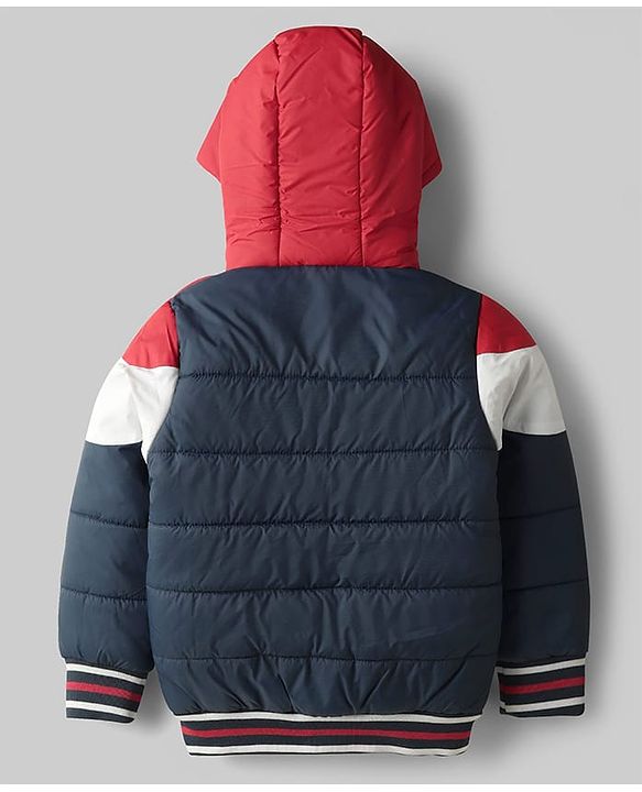 Pine Kids Woven Full Sleeves Hooded Padded Jacket With Color Block Design - Multicolor