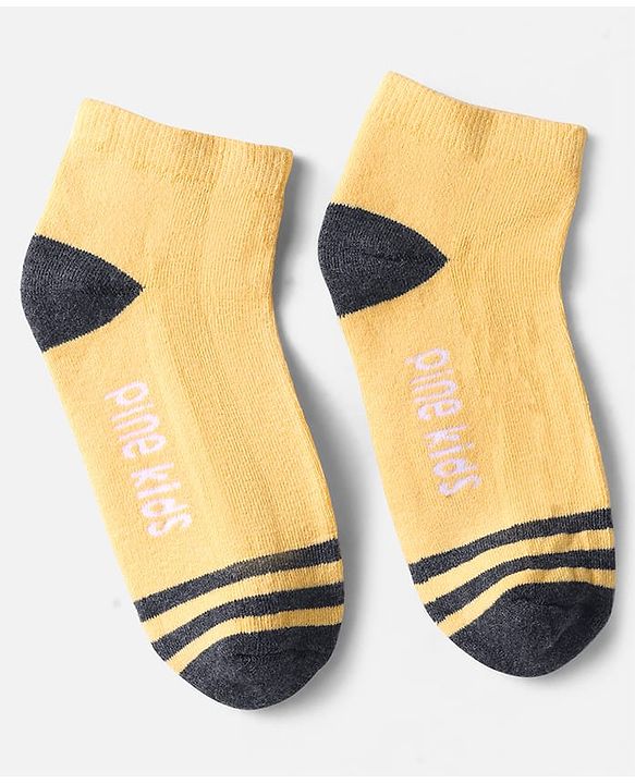 Pine Kids Knit Ankle Length Socks with Stripe & Text Design Pack of 3 - Color May Vary
