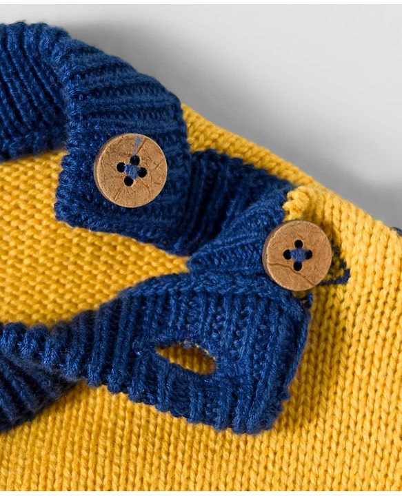 Babyhug Organic Cotton Knit Full Sleeves Sweater Set with Color Block Design Porcupine Patch & Cap - Navy Blue