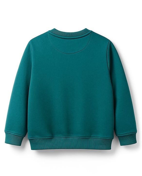 Pine Kids Knit Full Sleeves Sweatshirt With Skating Print - Mint Green