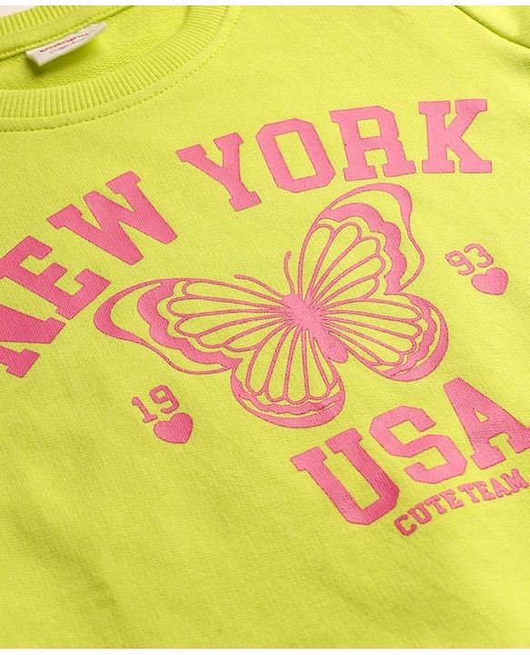 Babyhug Cotton Knit Full Sleeves Butterfly Printed Sweatshirts Pack of 2 - Light Green & Dark Pink
