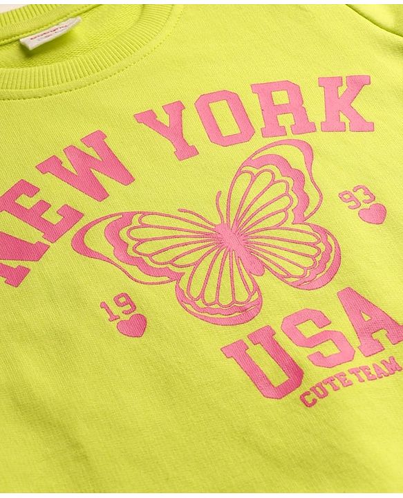 Babyhug Cotton Knit Full Sleeves Butterfly Printed Sweatshirts Pack of 2 - Light Green & Dark Pink