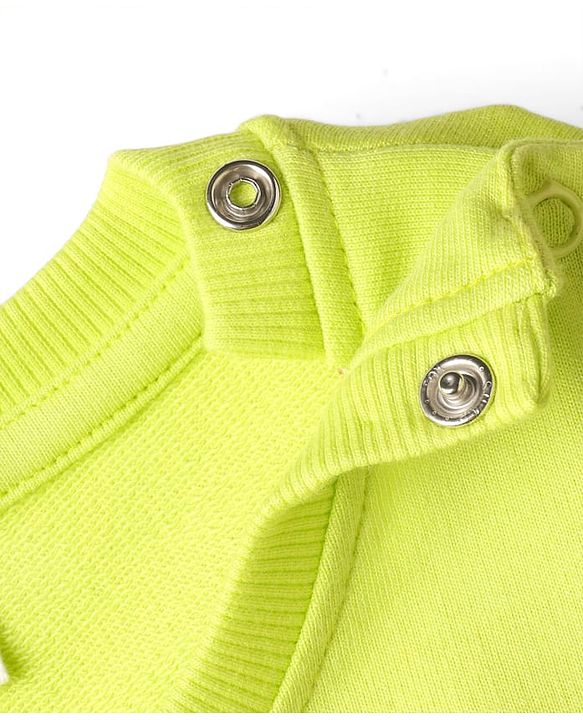 Babyhug Cotton Knit Full Sleeves Butterfly Printed Sweatshirts Pack of 2 - Light Green & Dark Pink