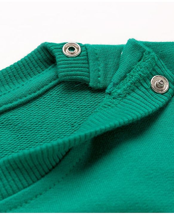 Babyhug Cotton Knit Full Sleeves Rugby Printed Sweatshirts Pack of 2 - Green & White