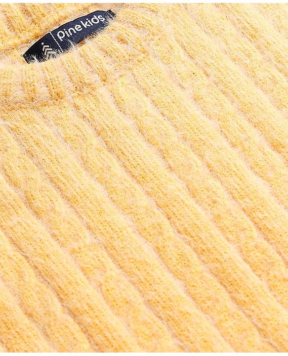 Pine Kids Knit Full Sleeves Pullover Sweater with Cable Knit Design - Yellow