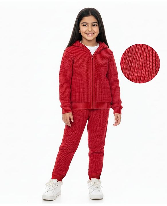 Pine Kids Knit Full Sleeves Solid Color Front Open Hooded Sweater Set - Red