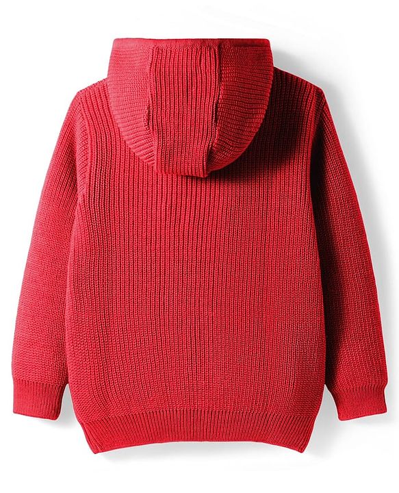 Pine Kids Knit Full Sleeves Solid Color Front Open Hooded Sweater Set - Red