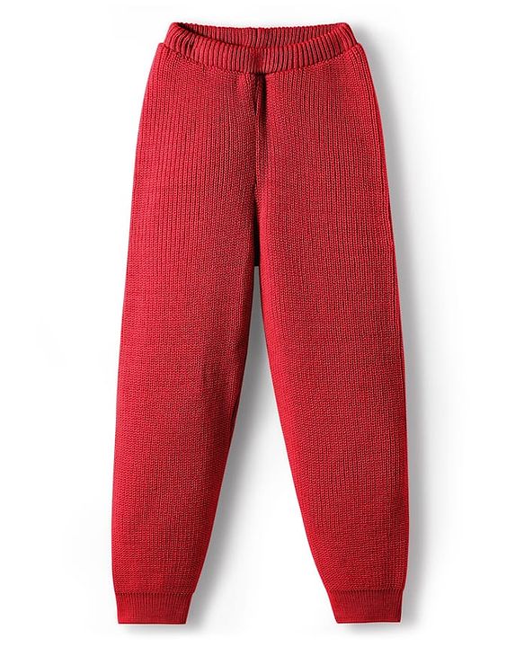 Pine Kids Knit Full Sleeves Solid Color Front Open Hooded Sweater Set - Red