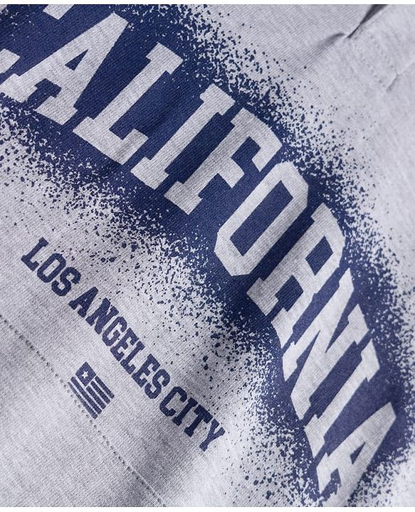 Pine Kids Cotton Knit Full Raglan Sleeves Hooded Sweatshirt With California Print & Kangaroo Pockets - Light Grey & Blue