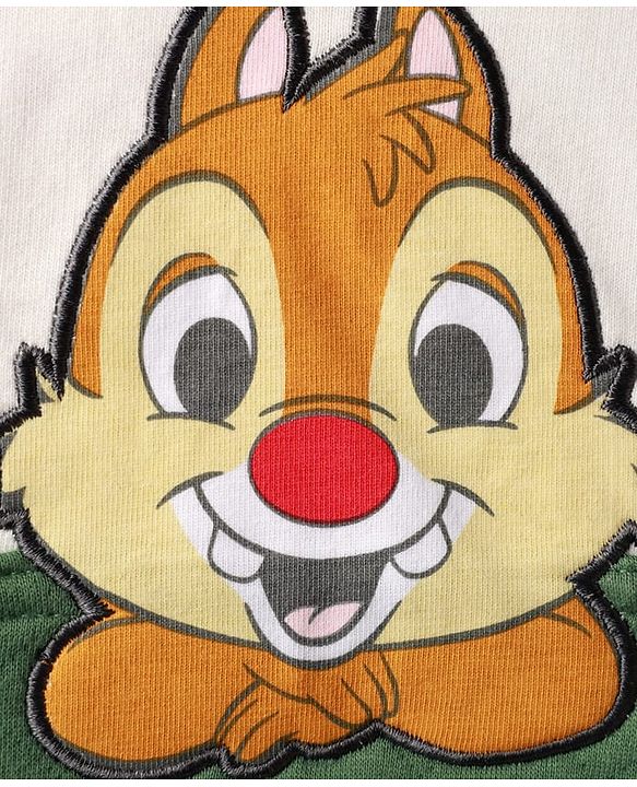 Babyhug Disney Terry Knit Full Raglan Sleeves Hooded Sweatshirt with Chip n Dale Patch Detailing & Kangaroo Pocket - Green & White