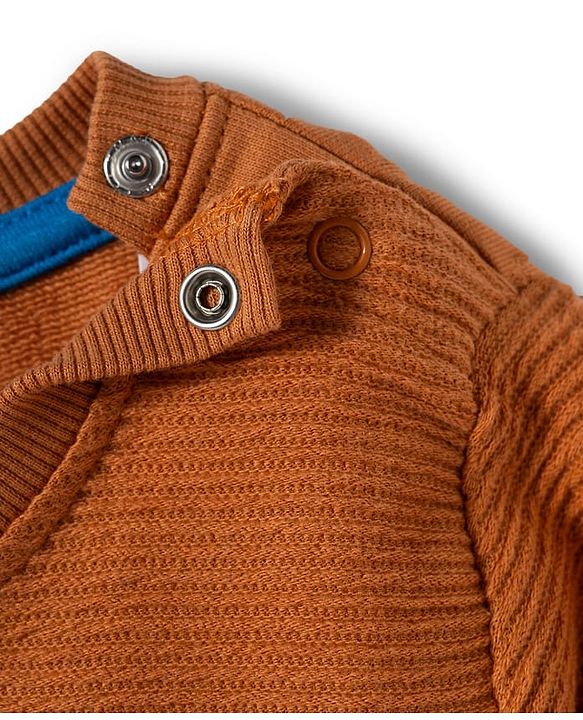 Babyhug Cotton Knit Full Sleeves Sweatshirt with Teddy Bear Graphics & Cut & Sew Design - Brown