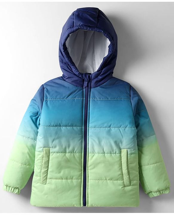 Babyhug Woven Full Sleeves Hooded Padded Jacket With Ombre Effect - Multicolor
