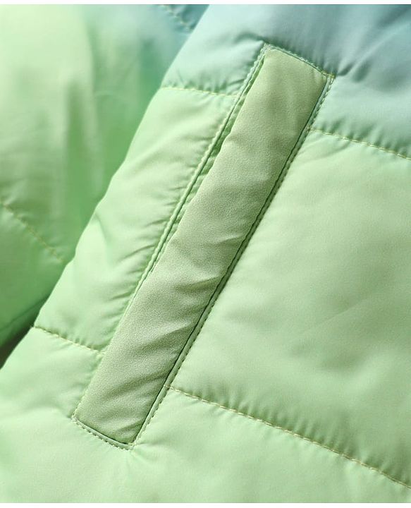Babyhug Woven Full Sleeves Hooded Padded Jacket With Ombre Effect - Multicolor