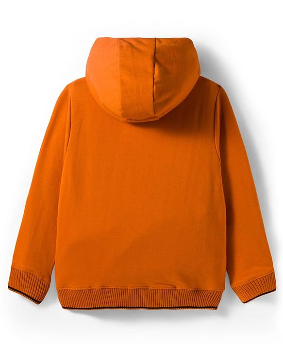 Pine Kids Knit Full Sleeves Hooded Sweatshirts With Colorado Text Print - Orange