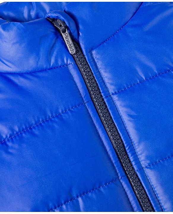 Pine Kids Woven Full Sleeves Padded Jacket with Ombre Print - Blue