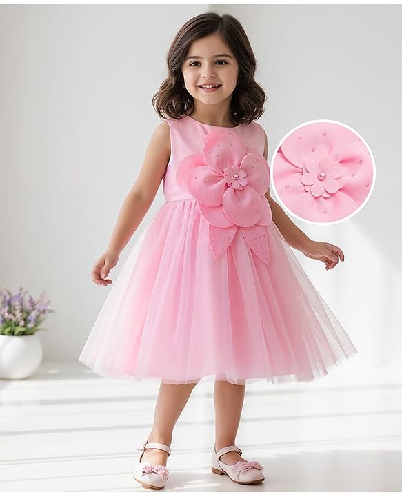 Babyhug Woven Sleeveless Fit & Flare Mesh Party Dress with Floral Applique - Pink