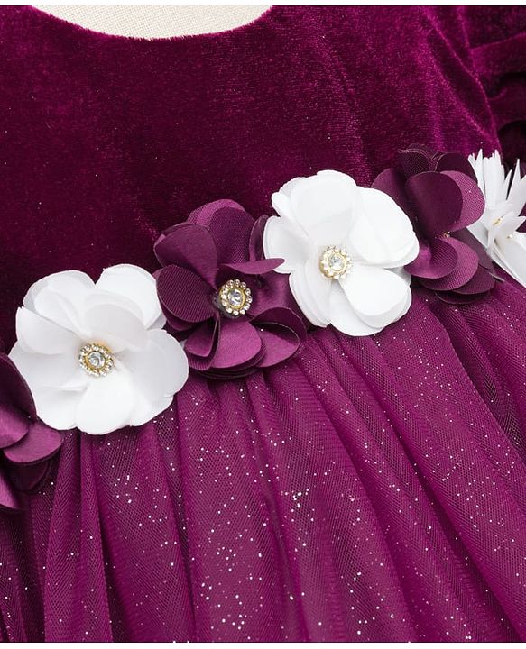 Babyhug Mesh Woven Half Puffed Sleeves Fit and Flare Party Dress With Glitter & Floral Applique - Wine