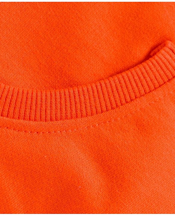 Babyhug 100% Cotton Knit Raglan Full Sleeves Sweatshirt With Floral Embroidery & Text Print - Orange