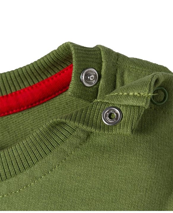Babyhug Terry Knit Full Sleeves T-Shirt and Joggers Set with Teddy Print - Olive Green & Grey