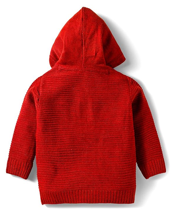 Babyhug Knitted Full Sleeves Hooded Pullover Sweater With Tiger Embroidery - Rust Orange