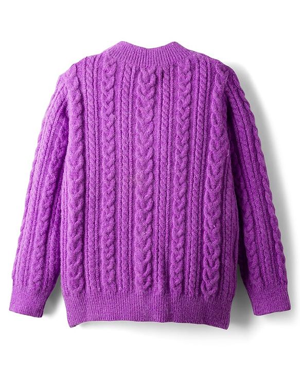 Pine Kids Knit Full Sleeves Pullover Sweater with Cable Knit Design - Purple