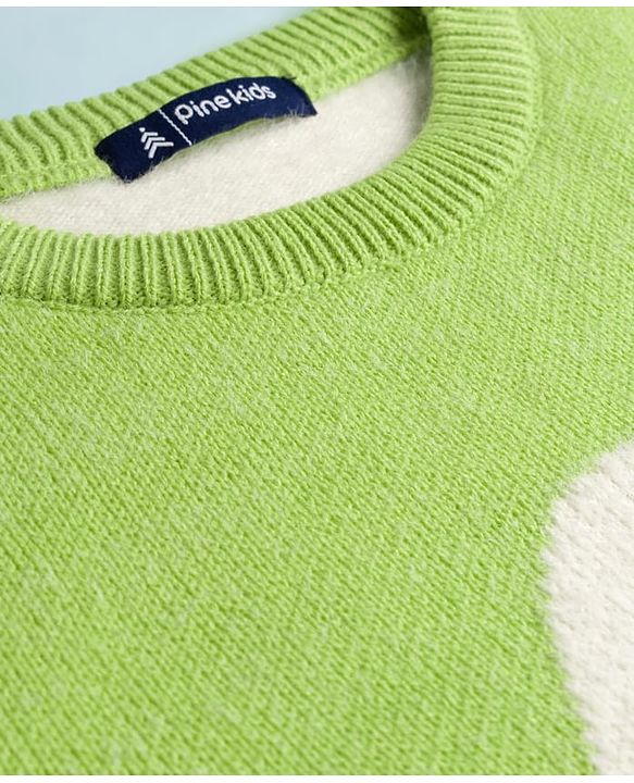 Pine Kids Knit Full Sleeves Pullover Sweater with Tropical Theme Print - Light Green & White