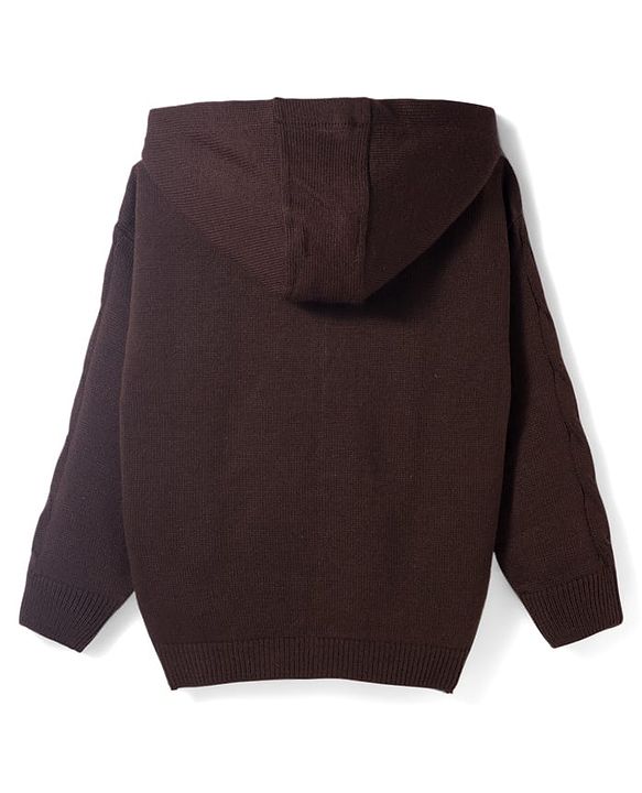 Pine Kids Knit Full Sleeves Hooded Sweater Set With Cable Knit Design - Brown