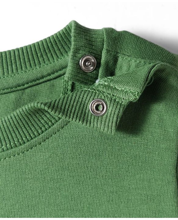 Babyhug Terry Knit Premium Light Gauge Terry Full Sleeves T-Shirt & Lounge Pant Set With Text Embroidery & Animal Applique - Green