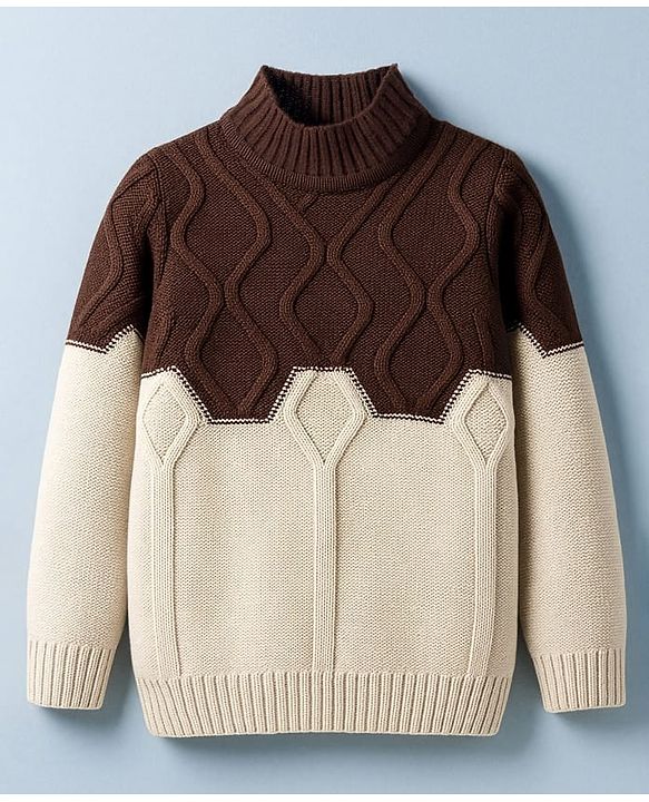 Pine Kids Knit Full Sleeves Pullover Sweater with Color Block & Cable Knit Design - Brown