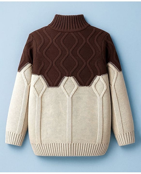 Pine Kids Knit Full Sleeves Pullover Sweater with Color Block & Cable Knit Design - Brown