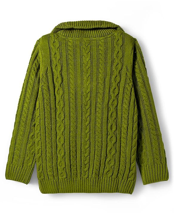 Pine Kids Knit Full Sleeves Pullover Sweater with Cable Knit Design - Green