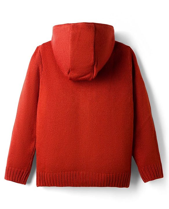Pine Kids Knit Full Sleeves Front Open Hooded Sweater with Cable Knit Design - Light Green