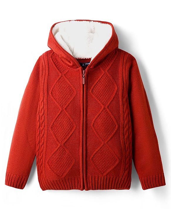 Pine Kids Knit Full Sleeves Front Open Hooded Sweater with Cable Knit Design - Light Green