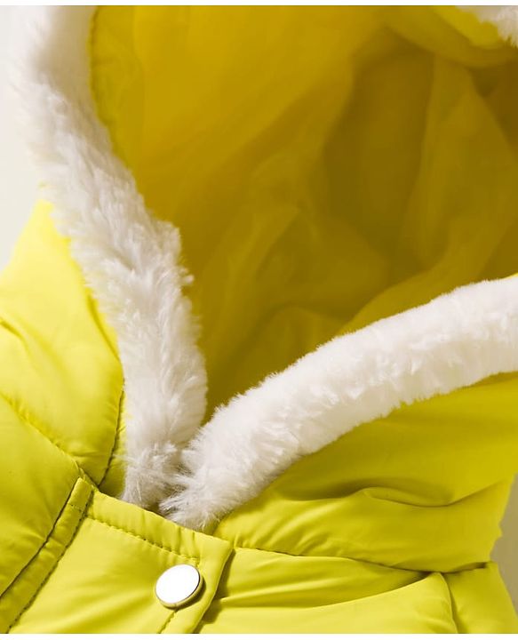Babyhug Woven Full Raglan Sleeves Hooded Padded Jacket With Floral Applique - Lime Green